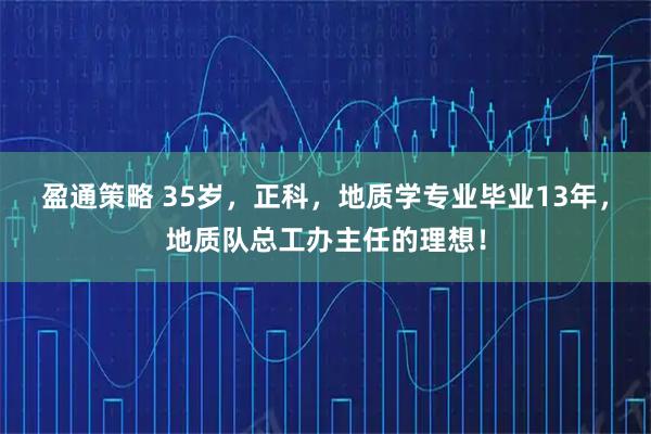 盈通策略 35岁，正科，地质学专业毕业13年，地质队总工办主任的理想！