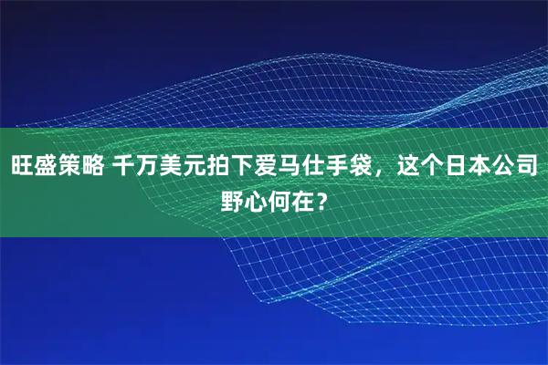 旺盛策略 千万美元拍下爱马仕手袋，这个日本公司野心何在？