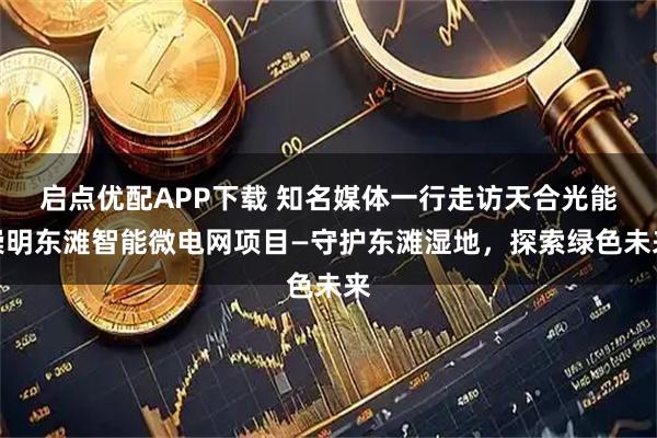 启点优配APP下载 知名媒体一行走访天合光能崇明东滩智能微电网项目—守护东滩湿地，探索绿色未来