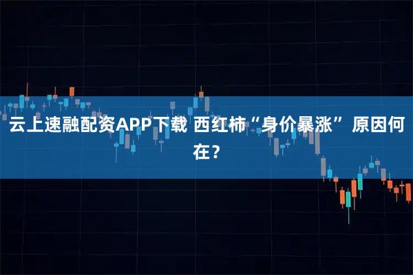 云上速融配资APP下载 西红柿“身价暴涨” 原因何在？