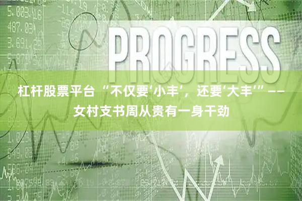 杠杆股票平台 “不仅要‘小丰’，还要‘大丰’”——女村支书周从贵有一身干劲