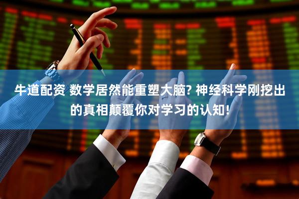 牛道配资 数学居然能重塑大脑? 神经科学刚挖出的真相颠覆你对学习的认知!
