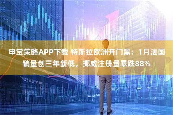 申宝策略APP下载 特斯拉欧洲开门黑：1月法国销量创三年新低，挪威注册量暴跌88%