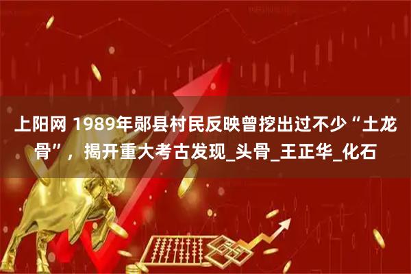 上阳网 1989年郧县村民反映曾挖出过不少“土龙骨”，揭开重大考古发现_头骨_王正华_化石