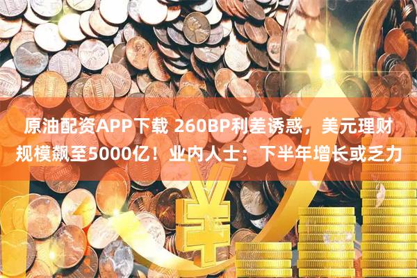 原油配资APP下载 260BP利差诱惑，美元理财规模飙至5000亿！业内人士：下半年增长或乏力