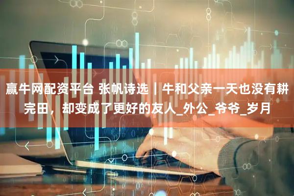 赢牛网配资平台 张帆诗选｜牛和父亲一天也没有耕完田，却变成了更好的友人_外公_爷爷_岁月